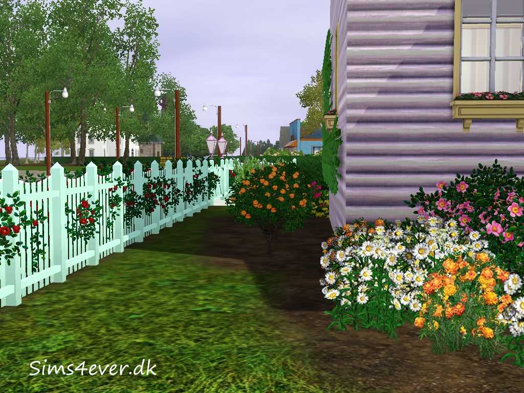 haven