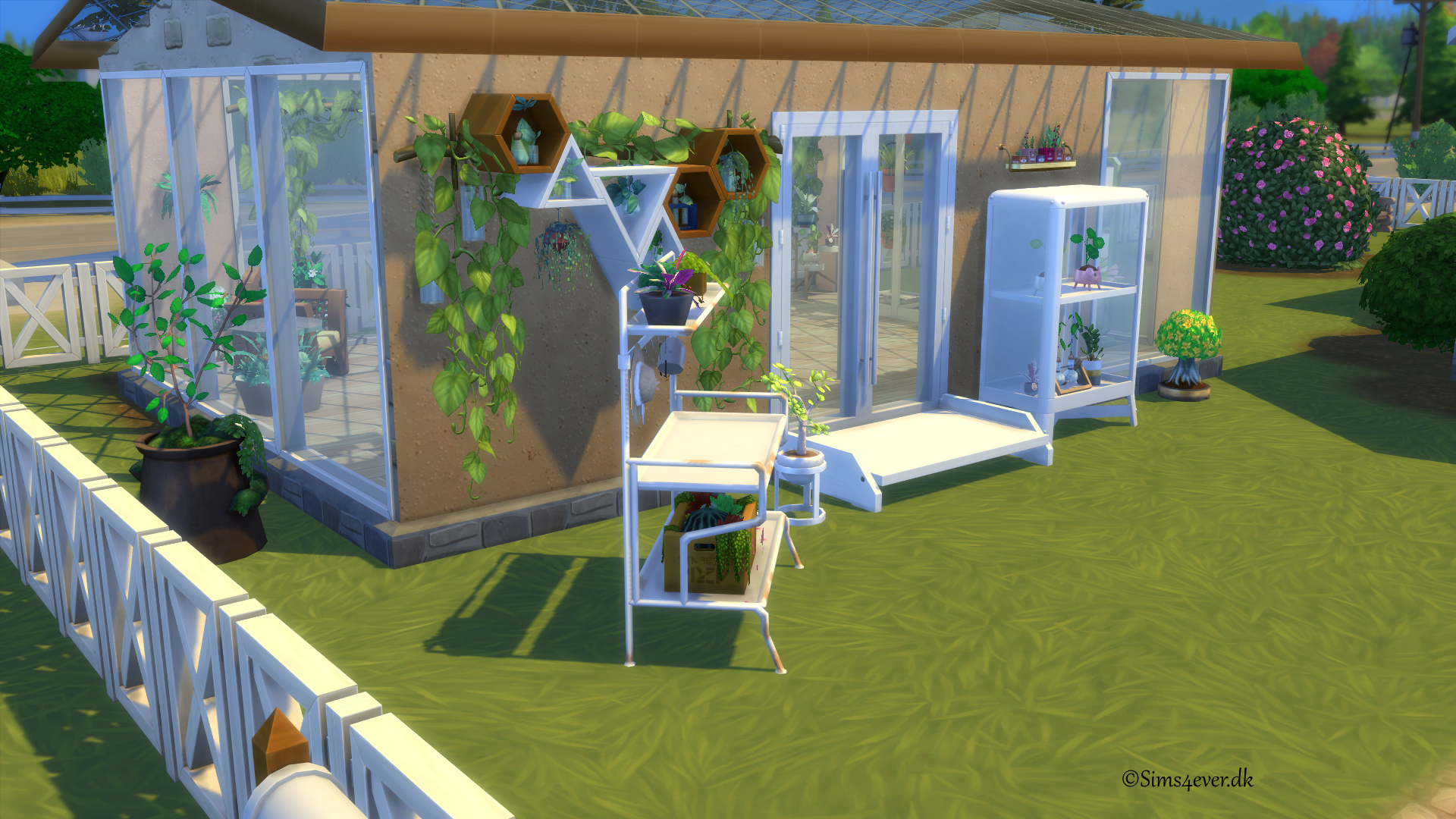 Plante kittet (Sims 4)
