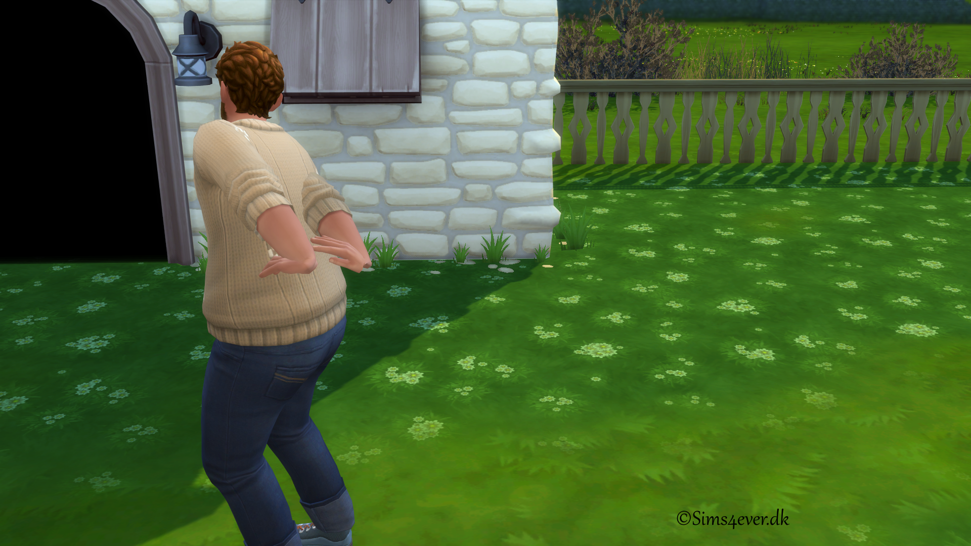 Henford on Bagley/Hønseherred (Sims 4)