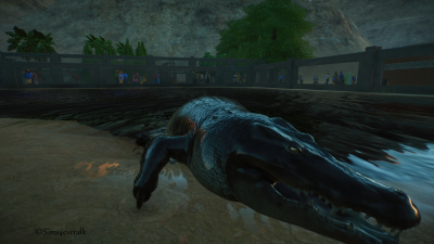 oppe af vandet igen