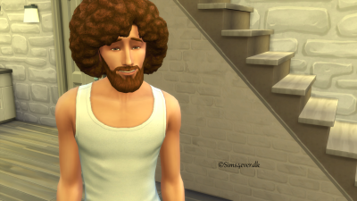 Simmer Bob Ross