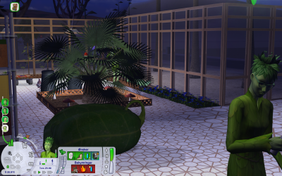 The Sims(TM) 2 Mansion and Garden Xtra pakke 25-04-2022 20_43_09.png
