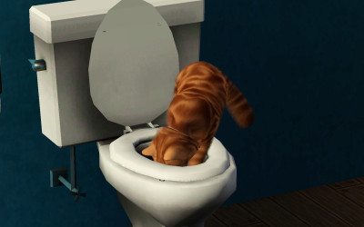 Screenshot-4.jpg