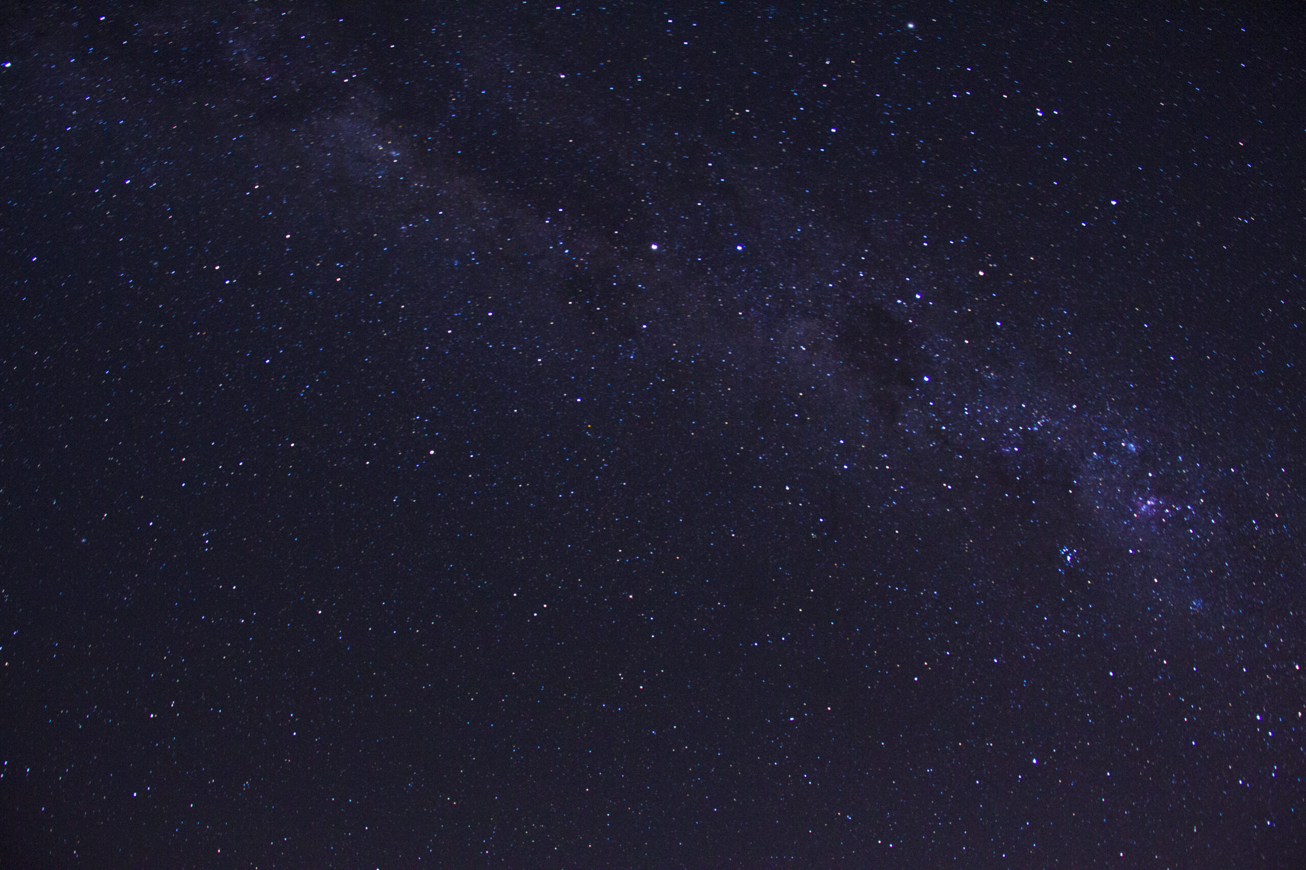 Bluenight Sims4ever dk